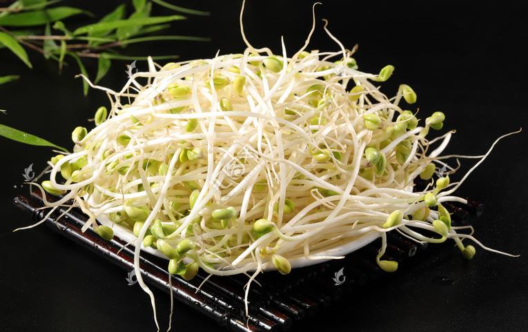 無公害綠色豆芽，怎么生產(chǎn)出來的？全套生產(chǎn)過程如此方便智能